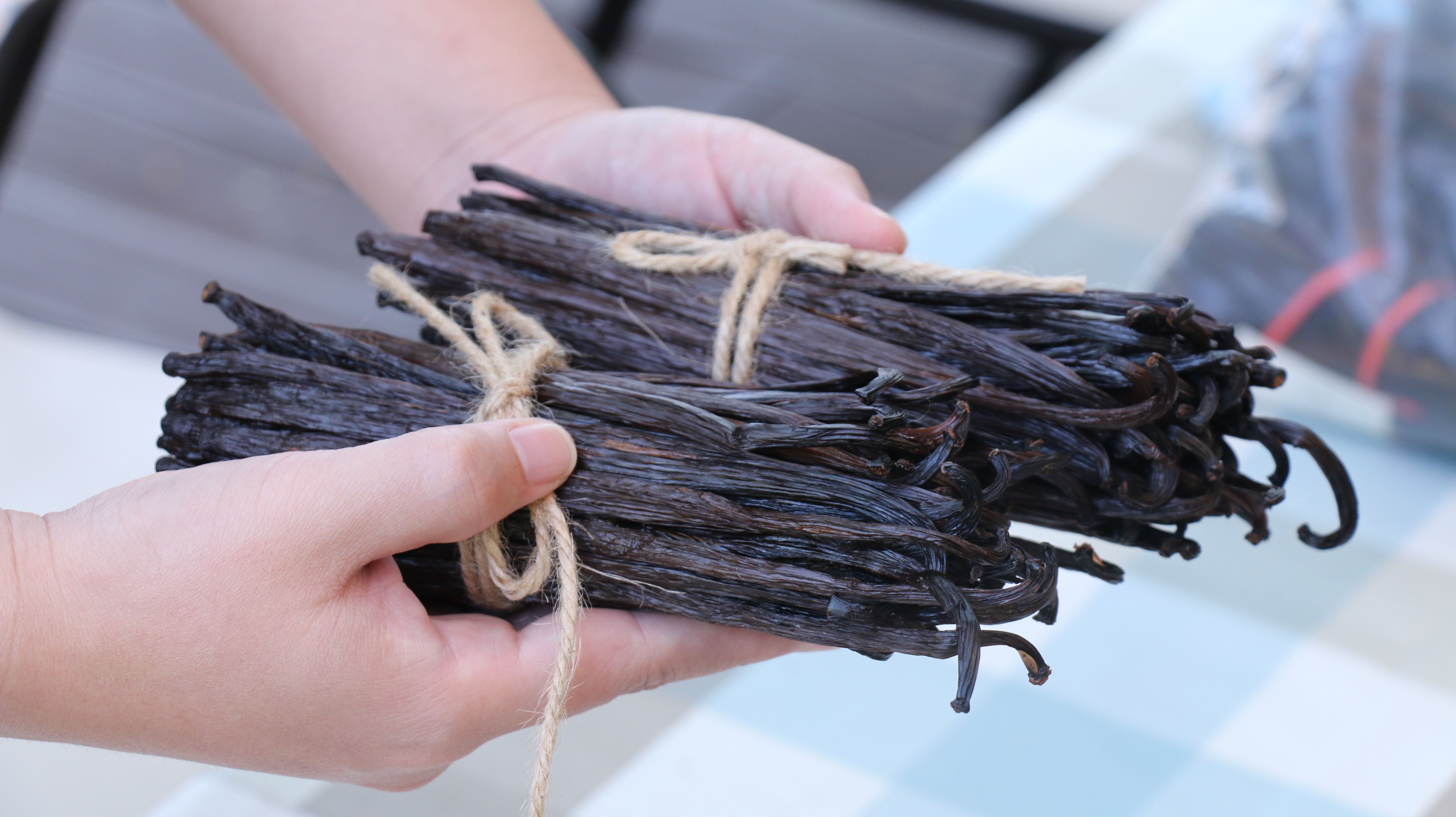 Lago Bloom team arranging cured vanilla beans in the sun